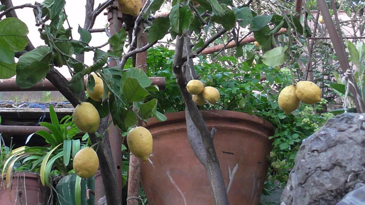Апартаменти Il Golfo E I Limoni Ла-Спеція Екстер'єр фото